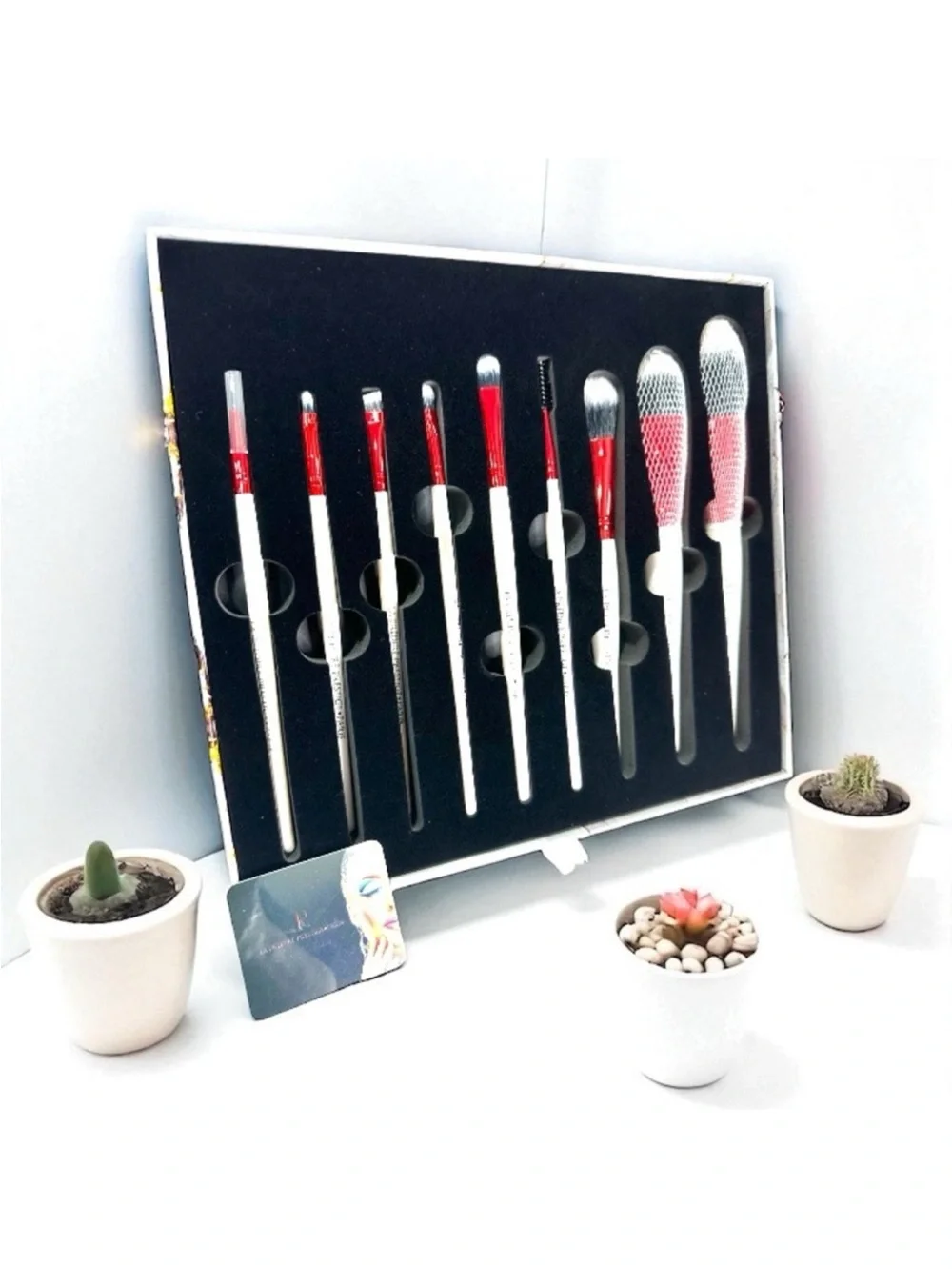Predire brush collection complete 12